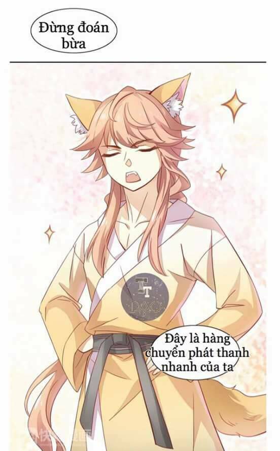 Dưới Móng Vuốt Mèo: Chapter 2