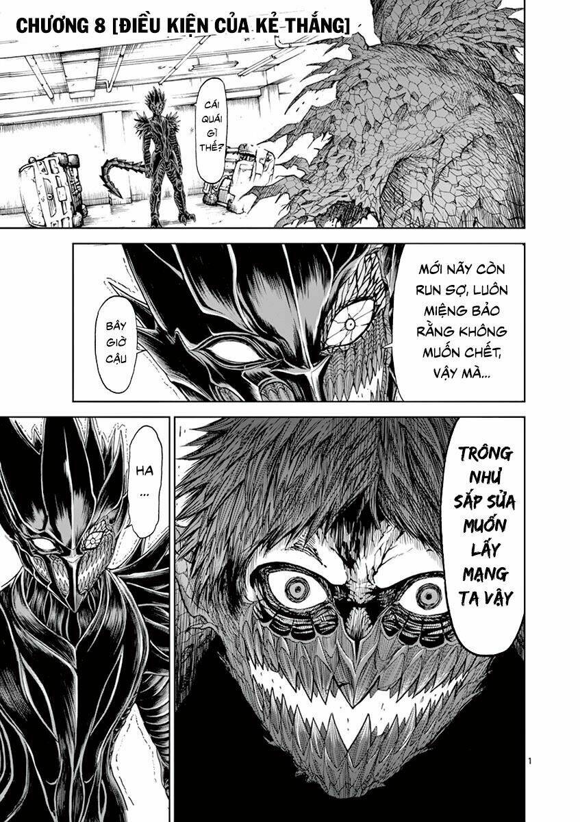 Nữ Vương Của Máu Và Tro: Chapter 8
