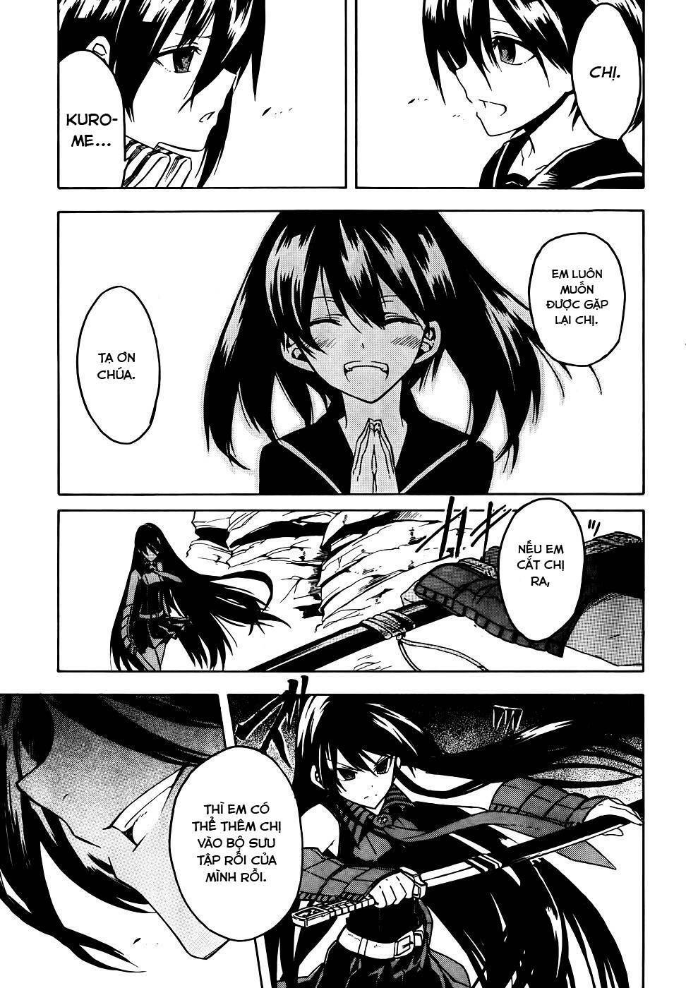 Akame Ga Kiru: Chapter 29