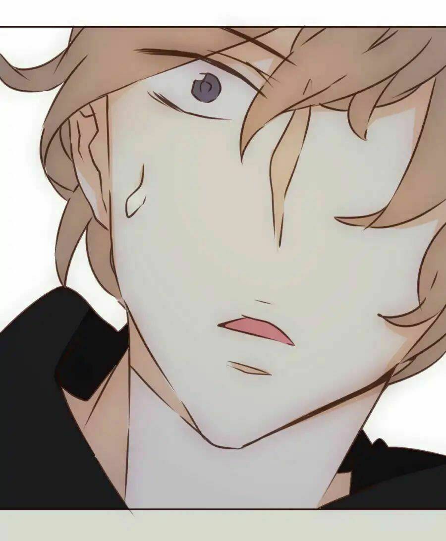 Tai Cá Voi: Chapter 1