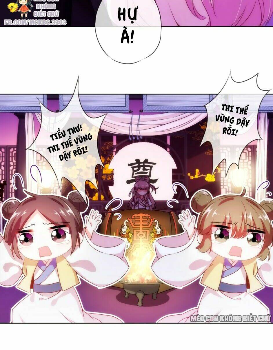 Ồ, Sủng Phi Đại Nhân Của Ta: Chapter 1