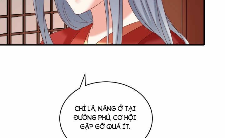 Đô đốc đại nhân sủng thê kí: Chapter 14.1