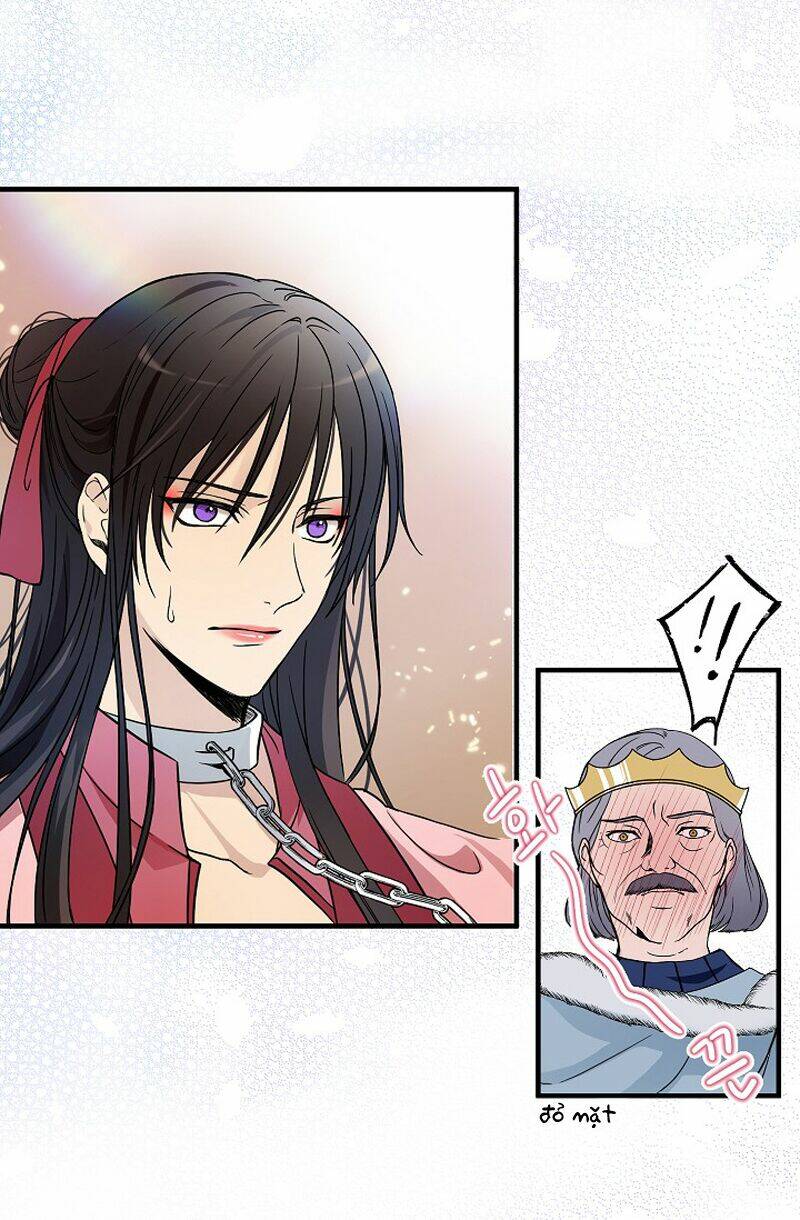 Mylord, Nữ Hoàng Của Loài Sói!: Chapter 2