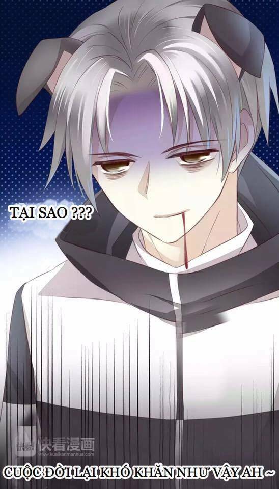 Dưới Móng Vuốt Mèo: Chapter 17