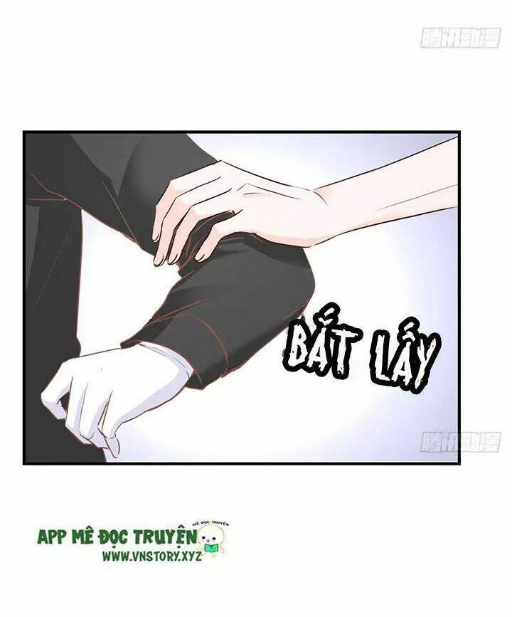 Cẩm Lý Thiếu Nữ Của Tôi: Chapter 105