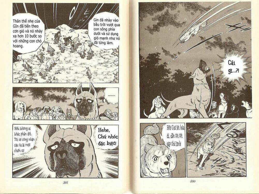 Chú Chó Có Nghĩa - Ginga Nagareboshi Gin: Chapter 10