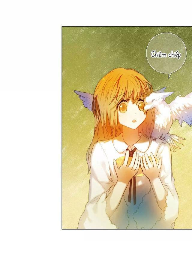 Kế Hoạch Trái Tim: Chapter 50