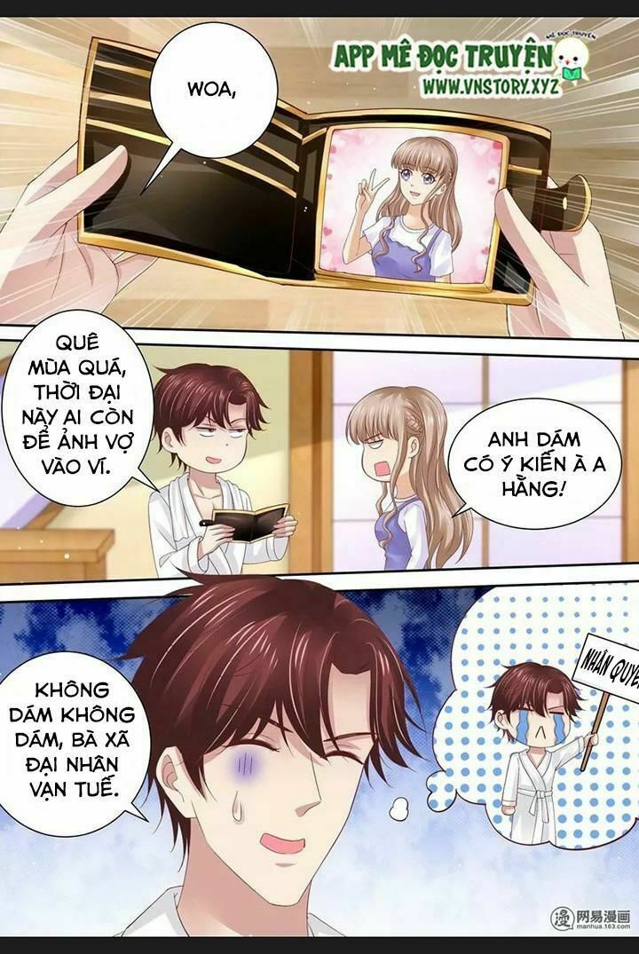 Cưng Chiều Vợ Yêu: Chapter 73: Chuyện cũ về mèo