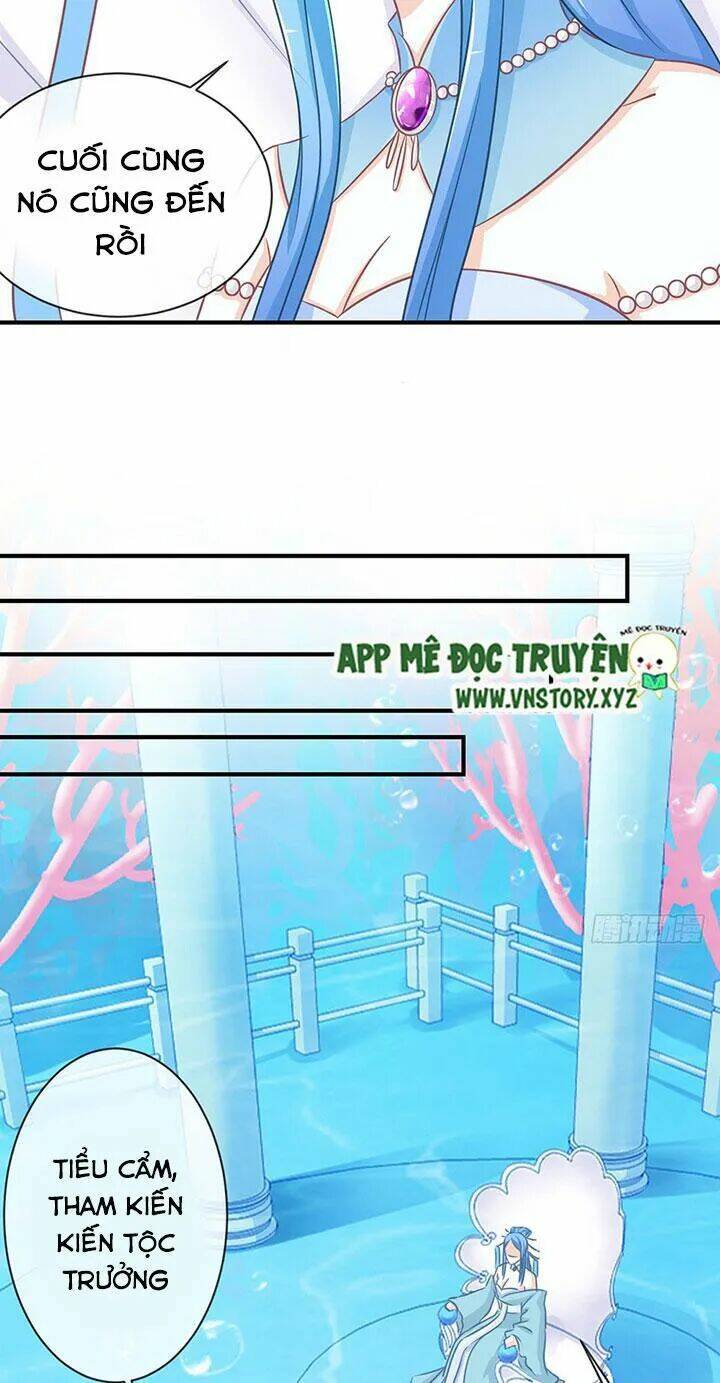 Cẩm Lý Thiếu Nữ Của Tôi: Chapter 59