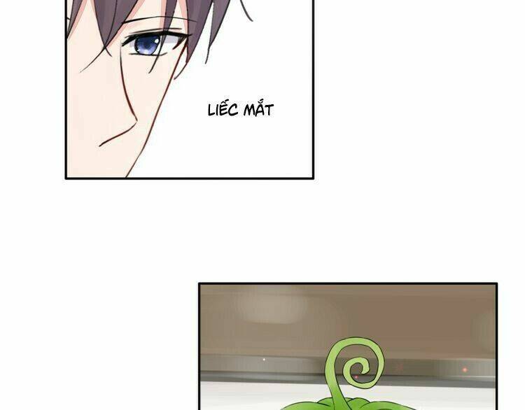 Câu Chuyện Săn Vợ: Chapter 27