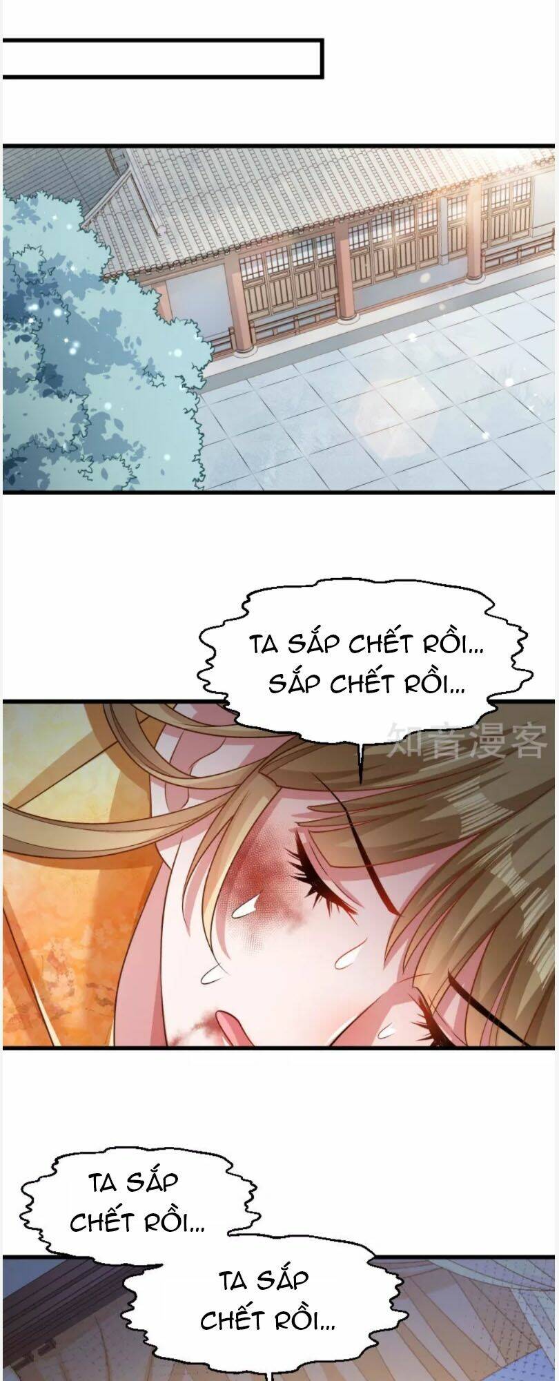 Tiểu Hoàng Thư Và Tiểu Hoàng Thúc: Chapter 52