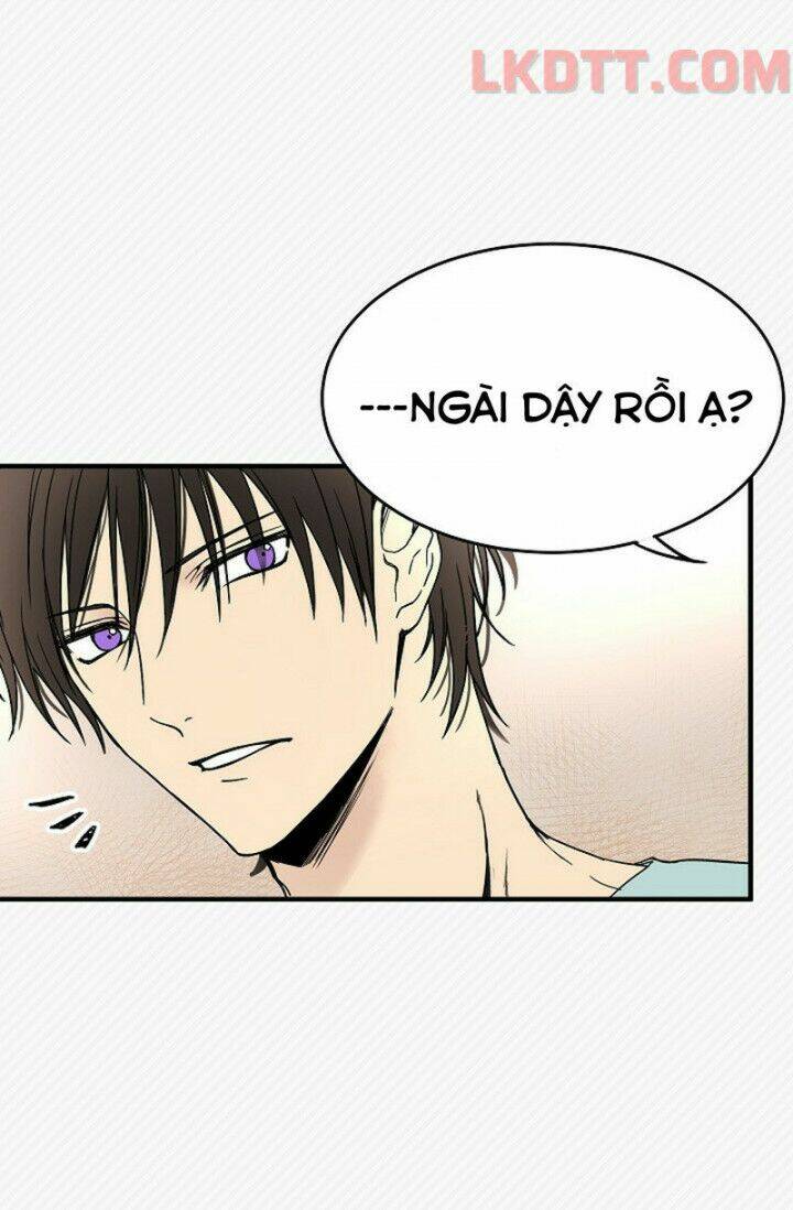 Mylord, Nữ Hoàng Của Loài Sói!: Chapter 4