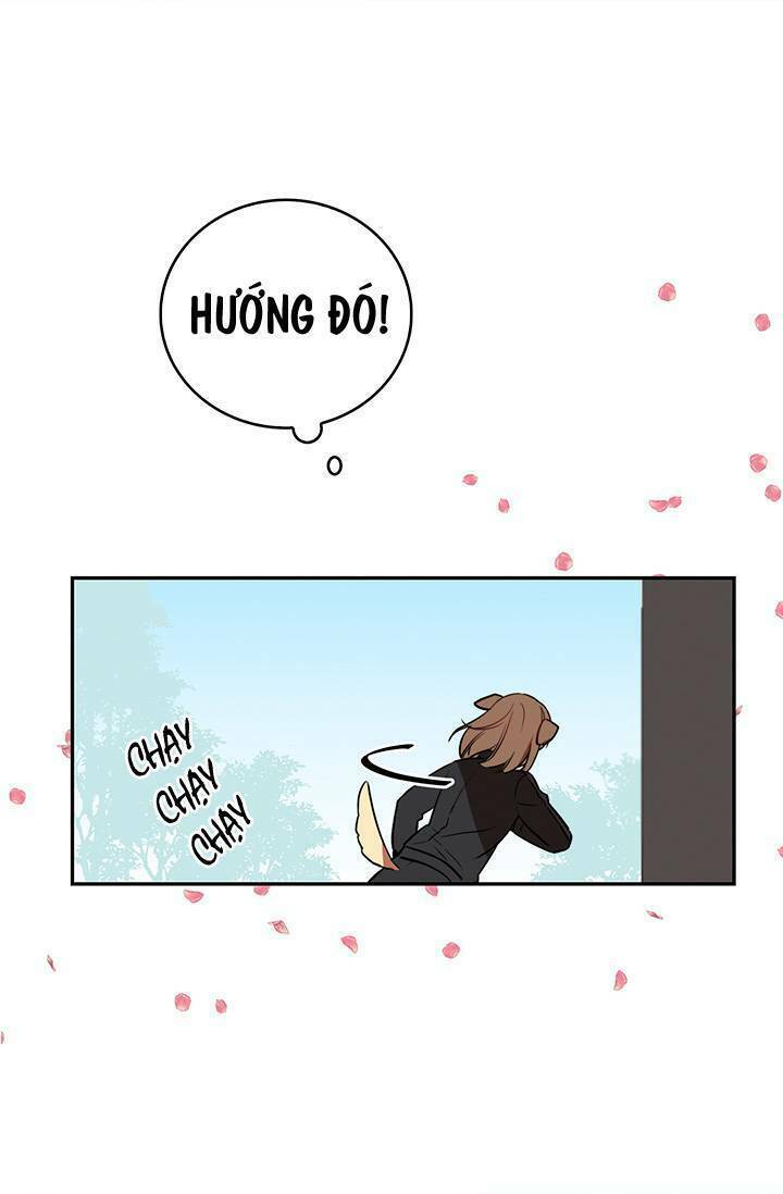 Cô Dâu Của Miêu Hoàng Tử: Chapter 3