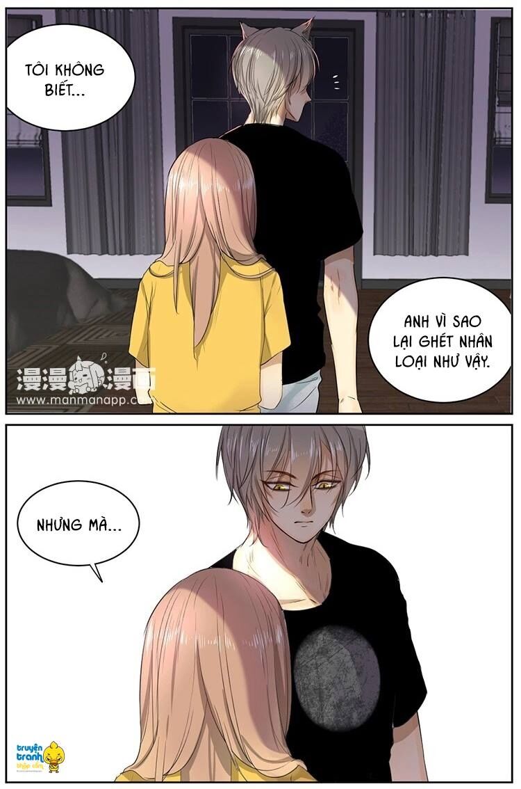 Cứu mạng ! Loài mèo thống trị thế giới rồi !: Chapter 10
