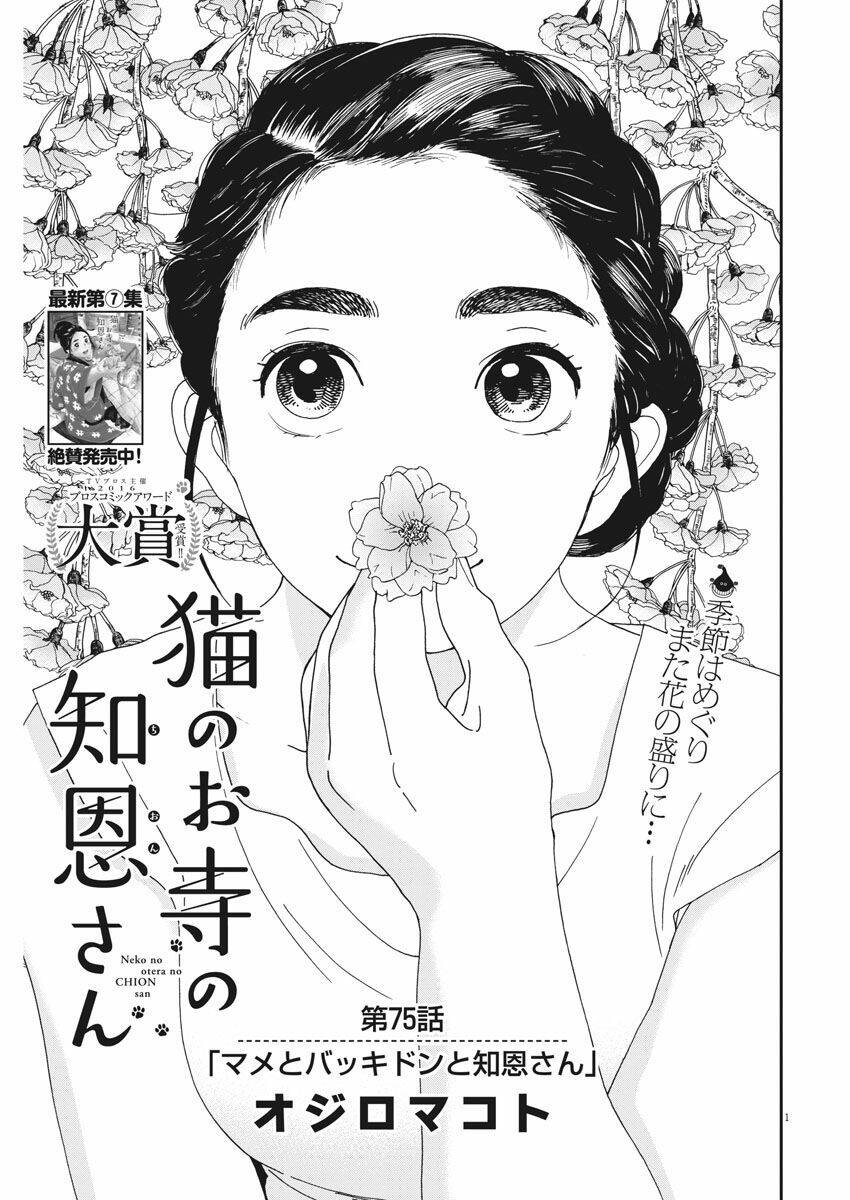 Neko No Otera No Chion-San: Chapter 75