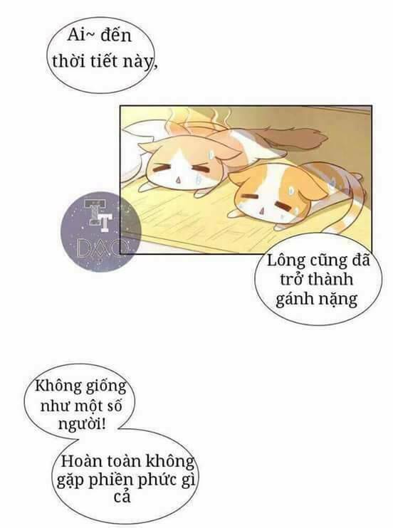 Dưới Móng Vuốt Mèo: Chapter 3
