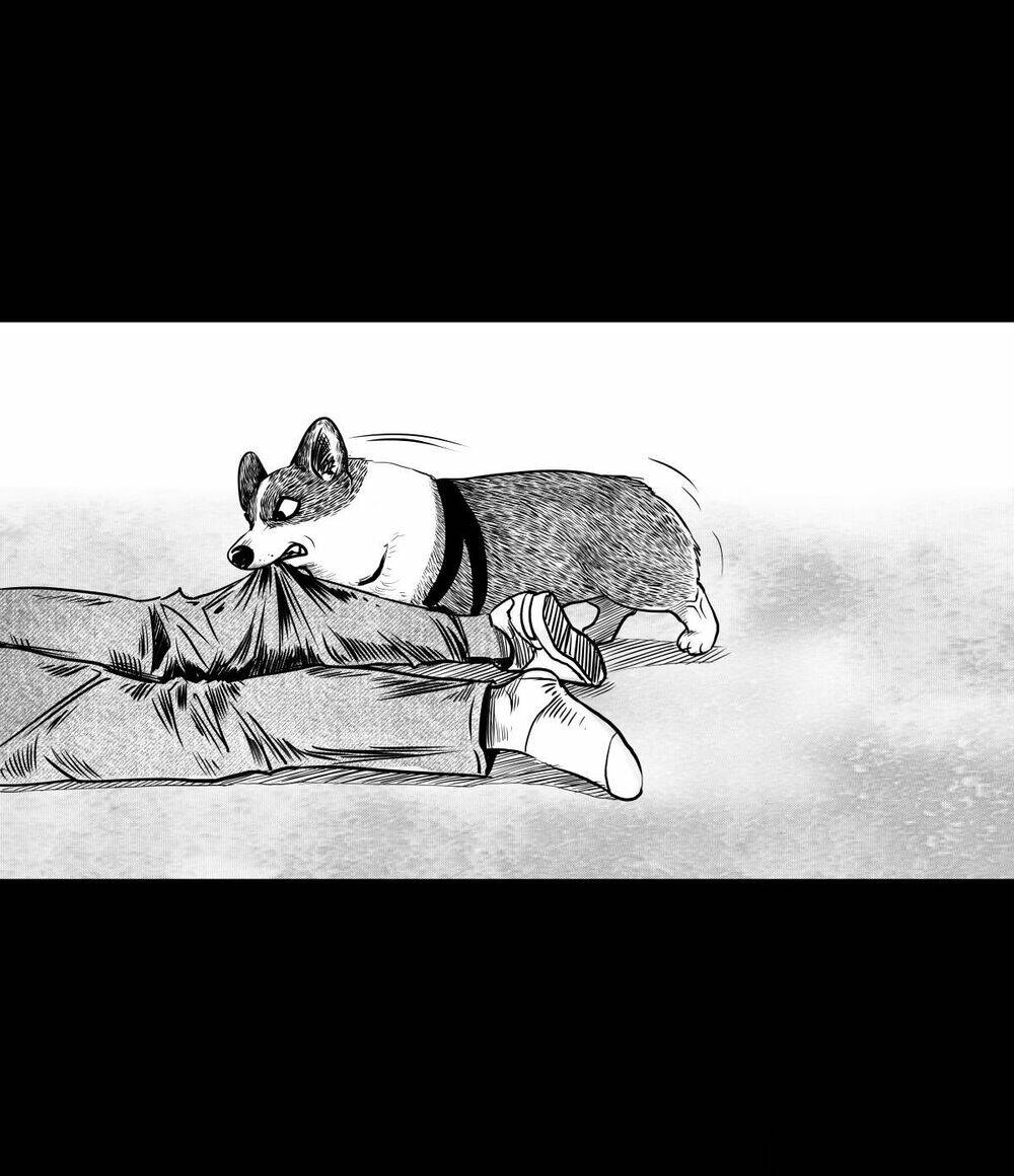 Dạ Hành Khuyển: Chapter 3