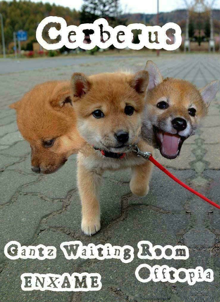 Kiba No Tabishounin: Chapter 29