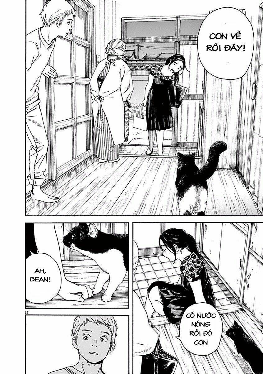 Neko No Otera No Chion-San: Chapter 41