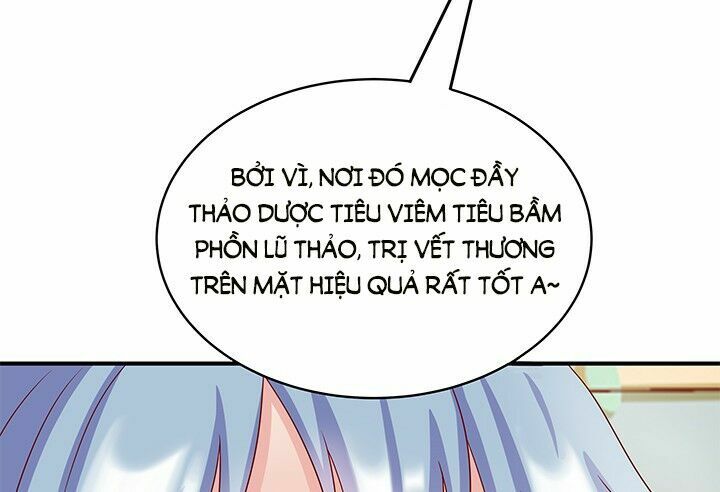 Đô đốc đại nhân sủng thê kí: Chapter 1.7