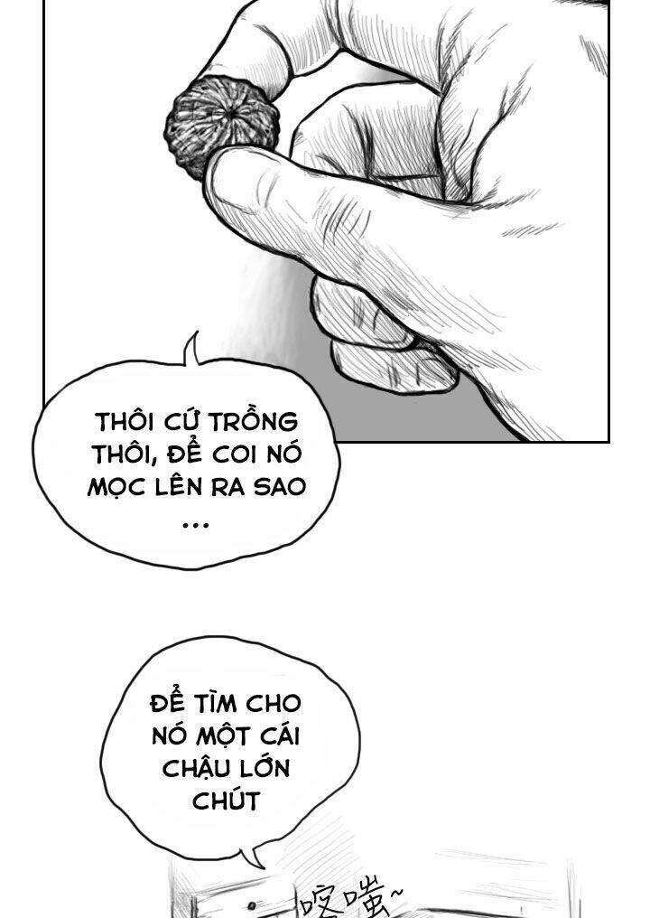 Hạt Giống Mỹ Nhân: Chapter 1