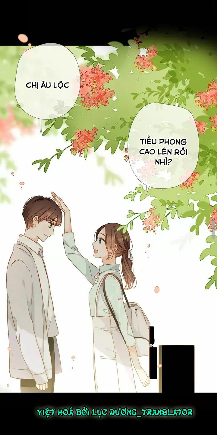 Tình yêu là màu hoa anh thảo: Chapter 32.3