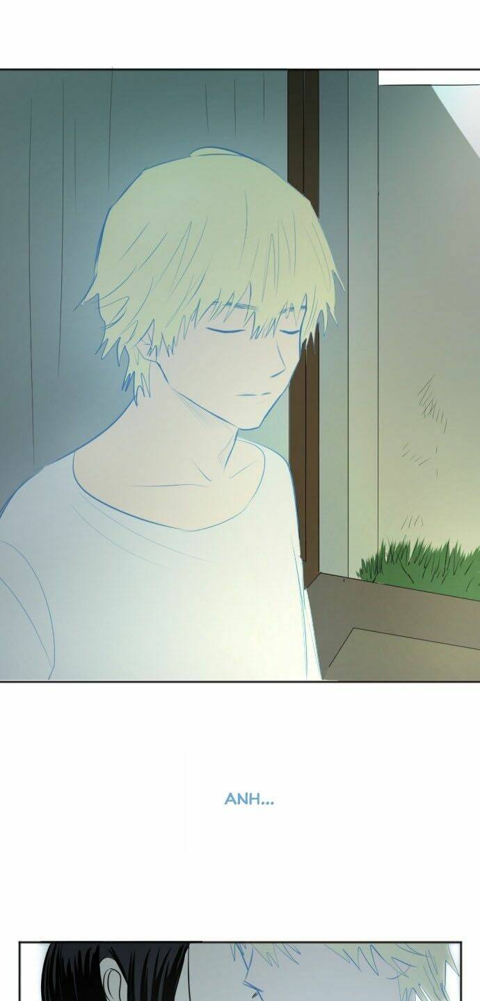 Transparent Cohabitation: Chapter 31