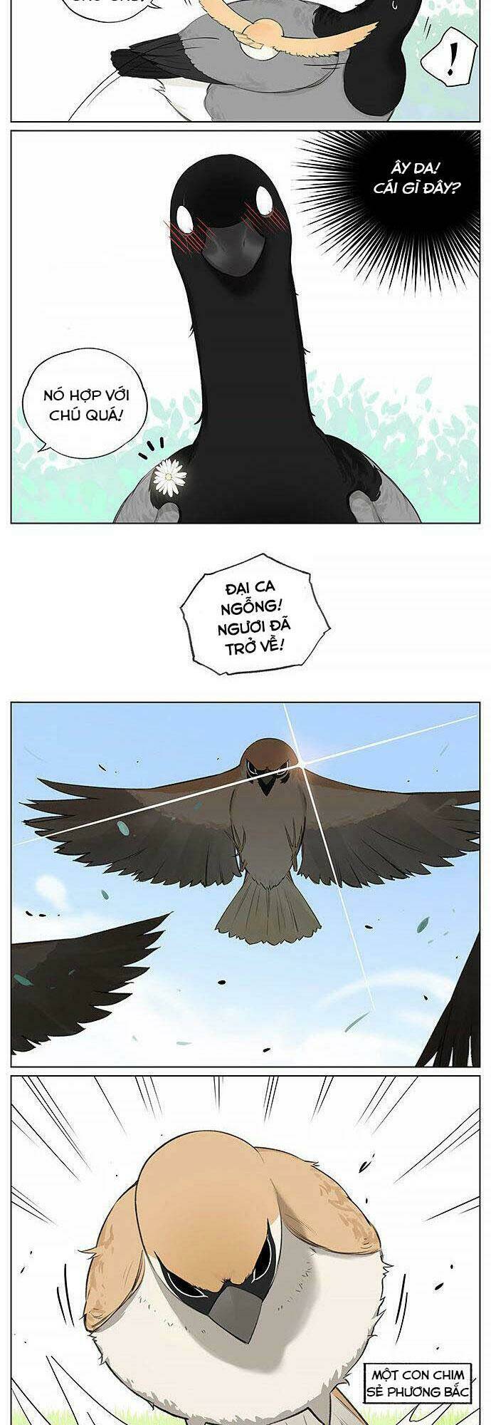 Chim Sẻ Gọi Ngỗng Trời: Chapter 21