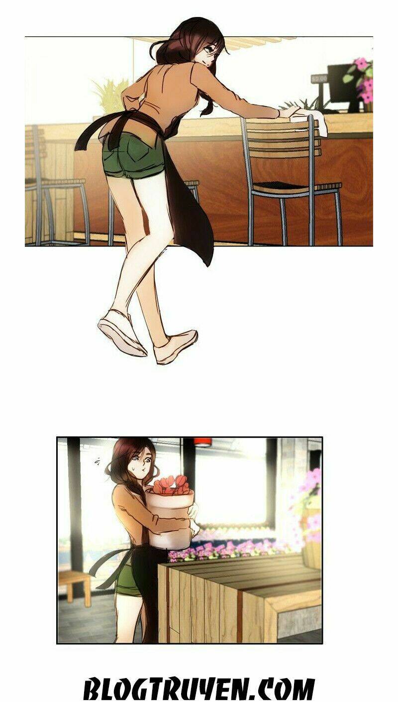 Khúc hát người cá Siren: Chapter 1