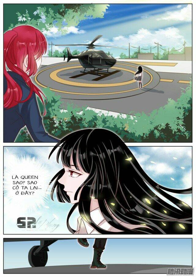 Vương Bài Giáo Thảo: Chapter 10