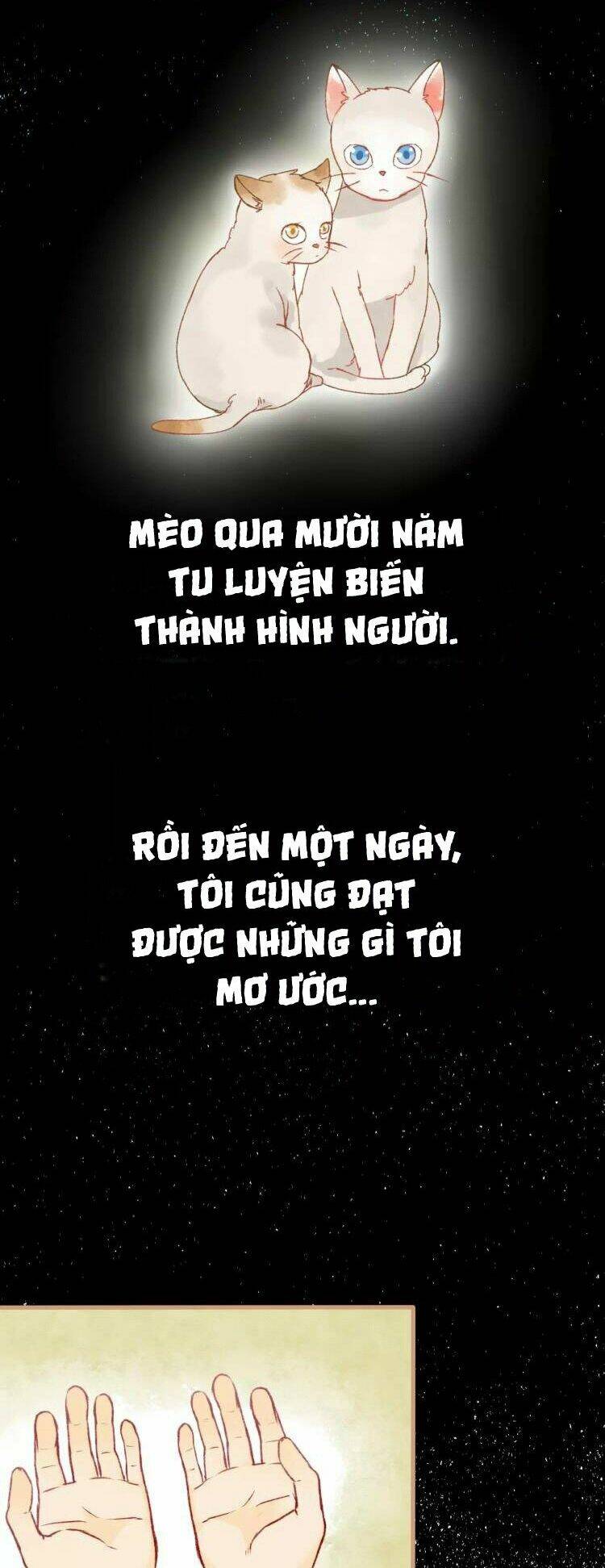 Bình Minh Của Ngũ Nguyệt: Chapter 12