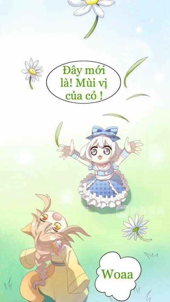 Dưới Móng Vuốt Mèo: Chapter 7