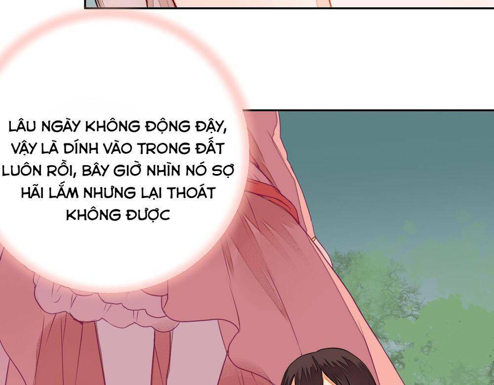 Đốt Đào Hoa: Chapter 8