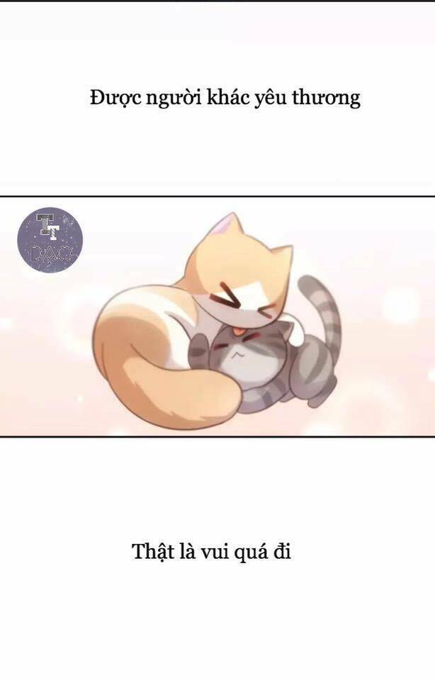Dưới Móng Vuốt Mèo: Chapter 19