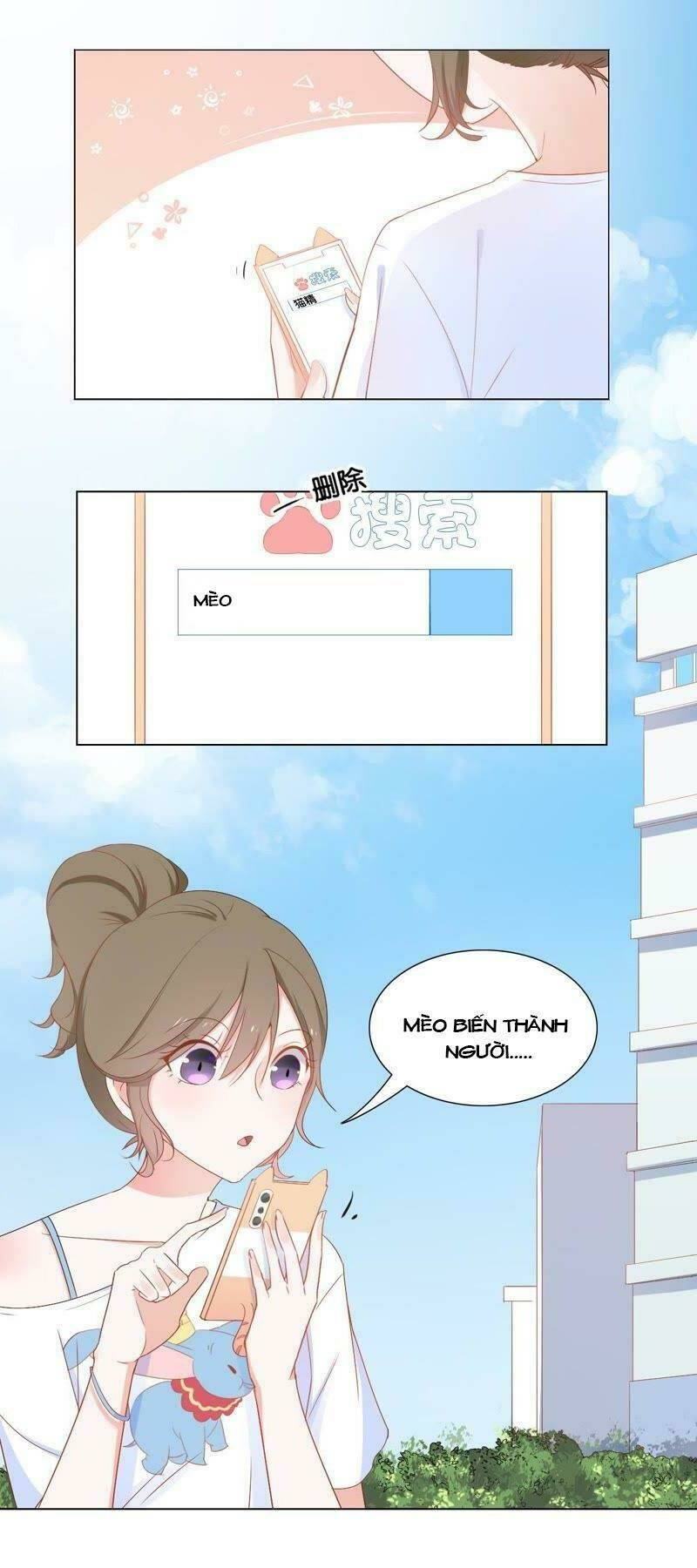 Thập Nhị Hắc Miêu: Chapter 2