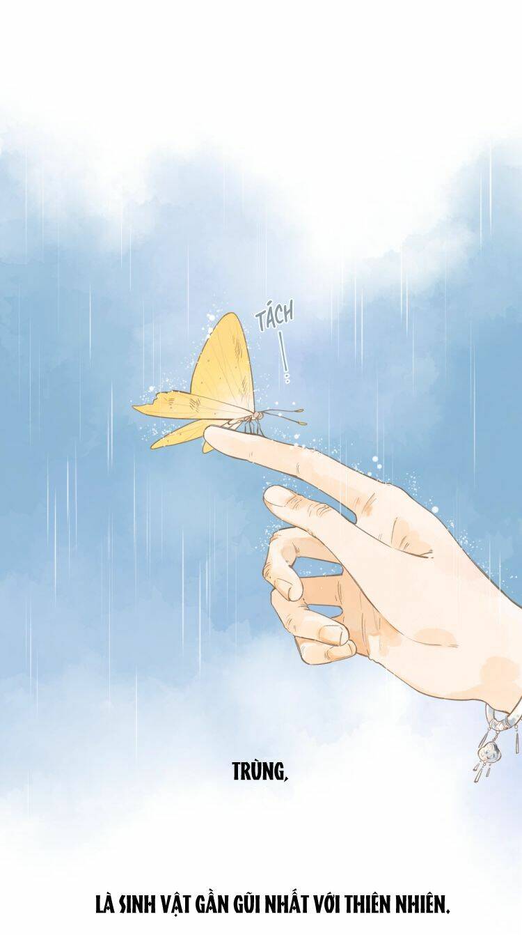 Sos! Tôi Đã Yêu Một Con Sâu Bướm (Phần 2): Chapter 0