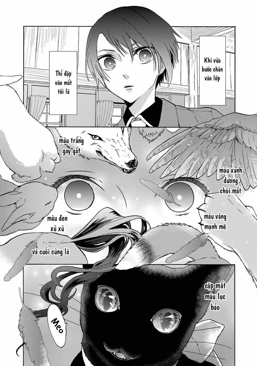Bạn Cùng Lớp Của Shiraishi-Kun: Chapter 2