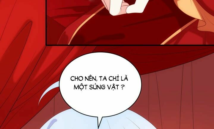 Đô đốc đại nhân sủng thê kí: Chapter 14.1