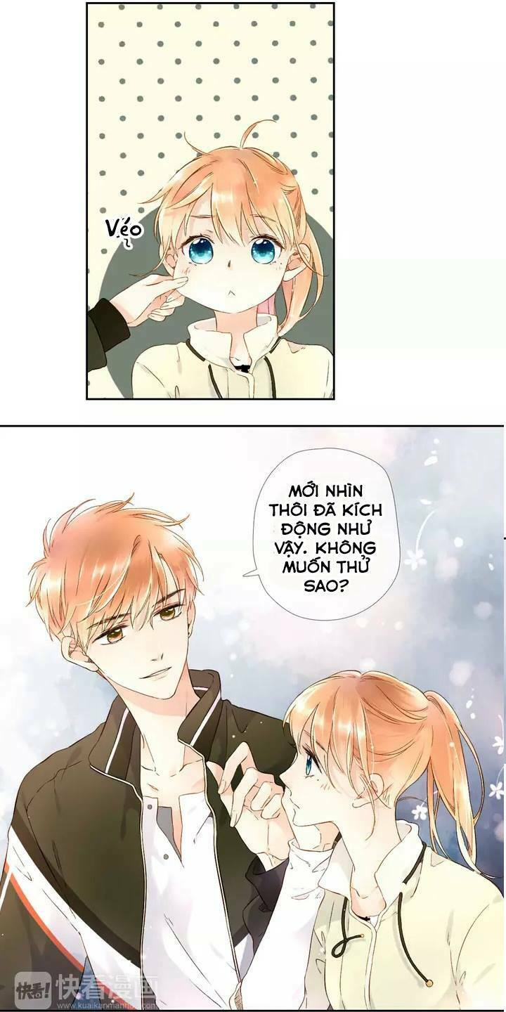 Tình yêu là màu hoa anh thảo: Chapter 21