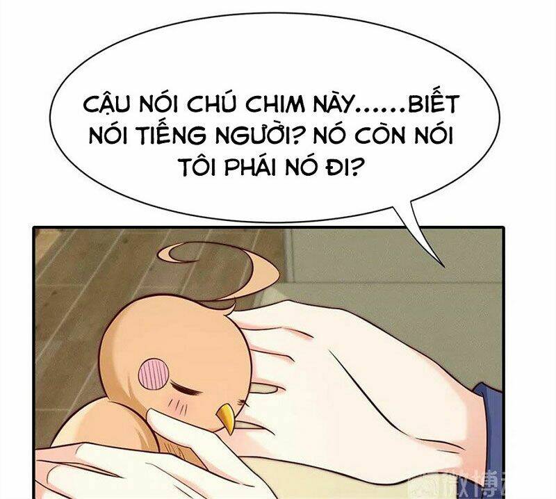 Nam Thần Truy Thê Chỉ Nam: Chapter 108.2