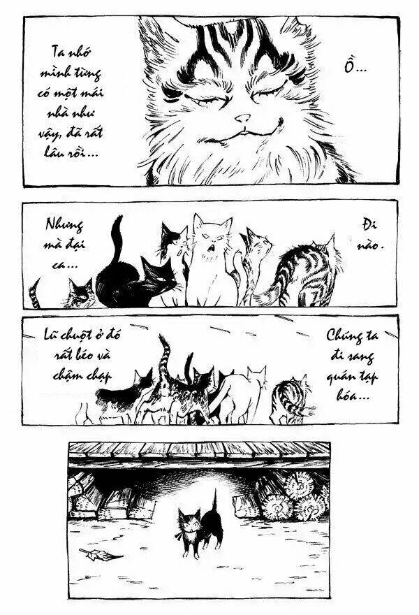 Con Mèo Và Matsu: Chapter 3