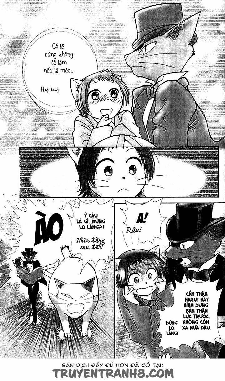 Lời Thì Thầm Từ Trái Tim: Chapter 9