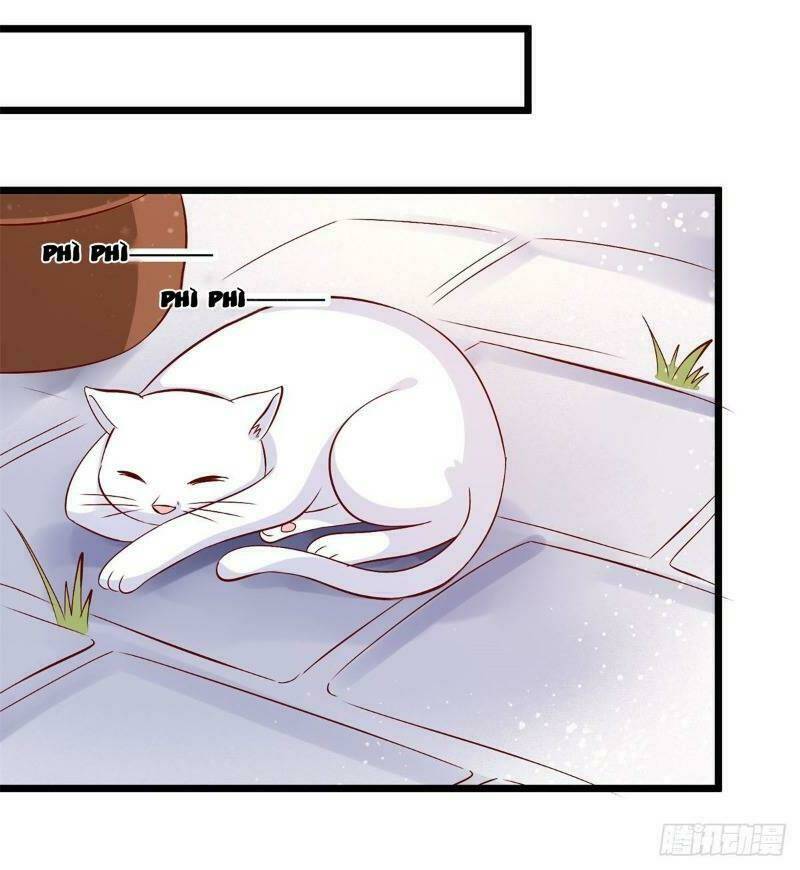 Đế Hoàng Chi Thần Y Khí Phi: Chapter 45