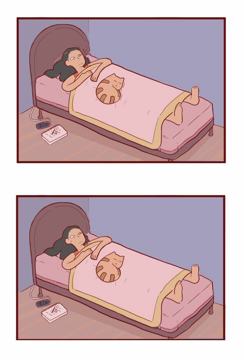 Saphie: Chú mèo một mắt: Chapter 21