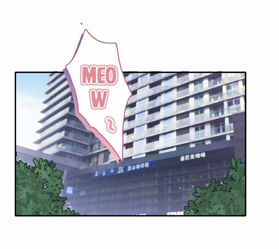 Hẹn Hò Siêu Tốc: Chapter 1