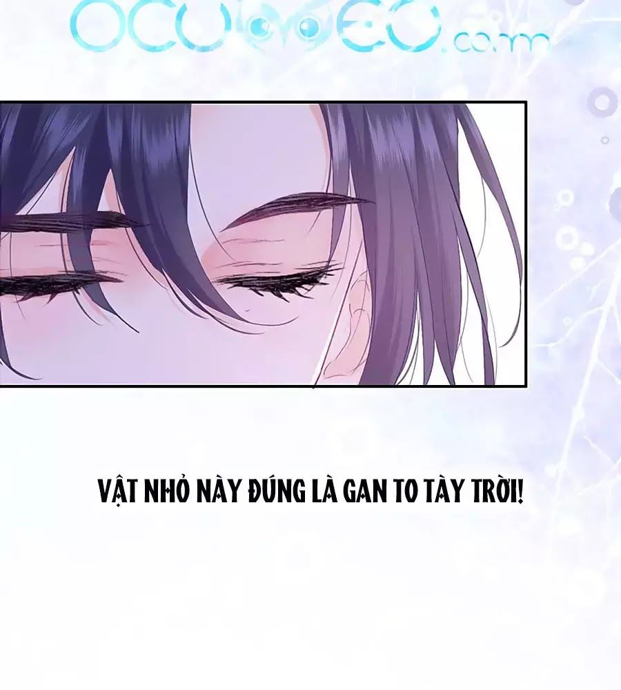 Kiều Nhi Hư Quá Nha: Chapter 11