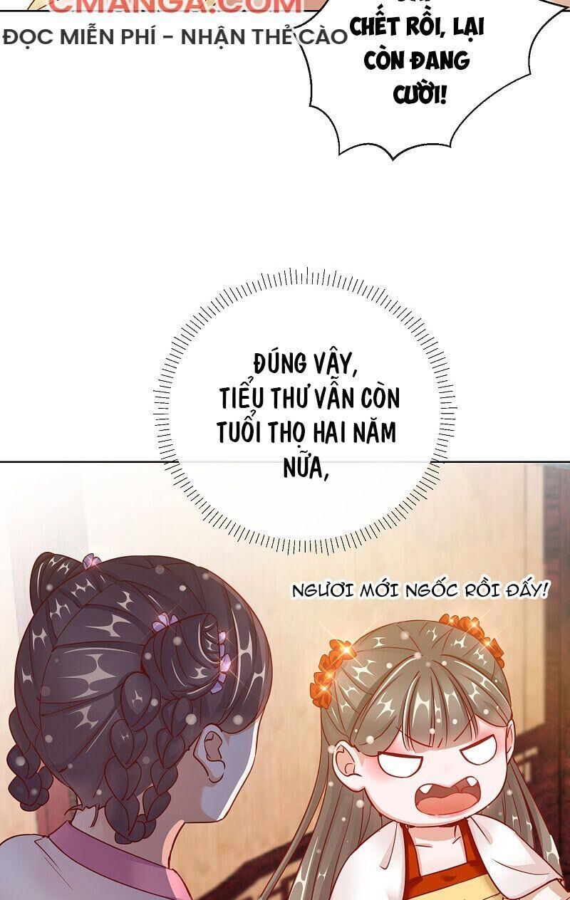 Công Lược Trưởng Thành Của Vương Phi: Chapter 27
