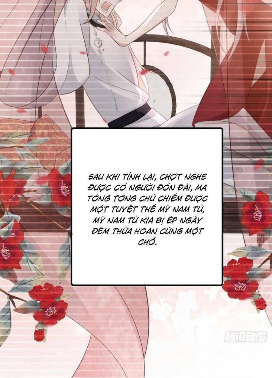 Mau Xuyên Không Rửa Tội Cho Nhân Vật Phản Diện: Chapter 104