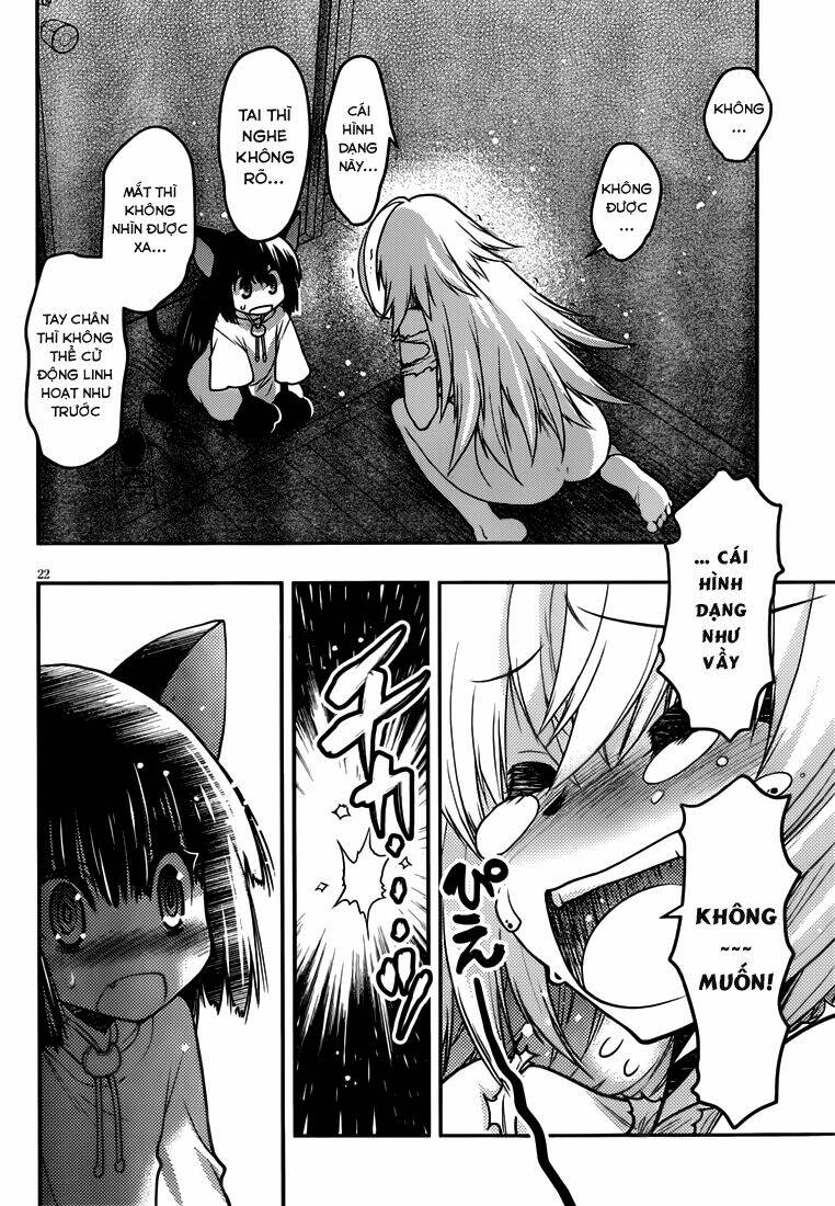 Tamanyan: Chapter 5