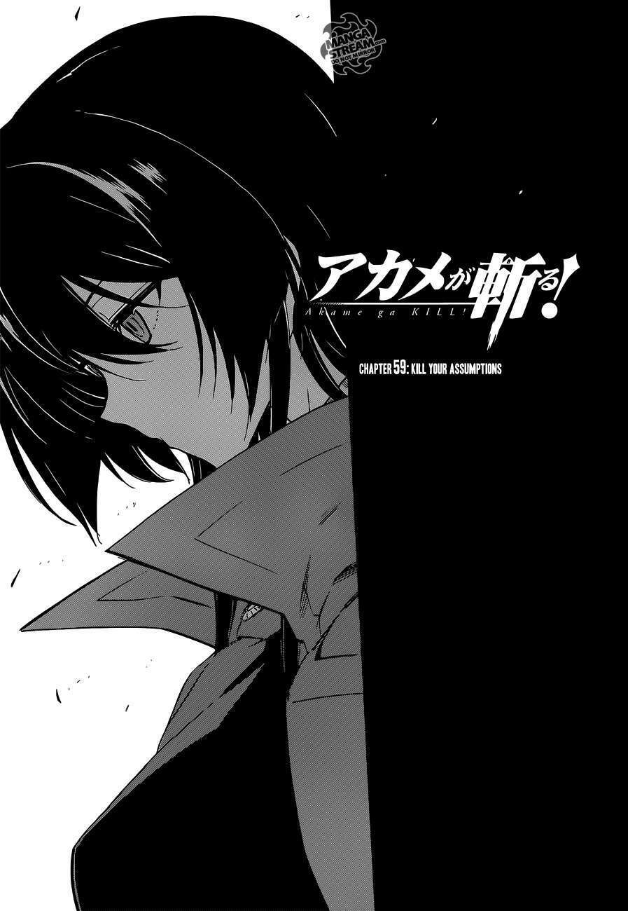 Akame Ga Kiru: Chapter 59.2